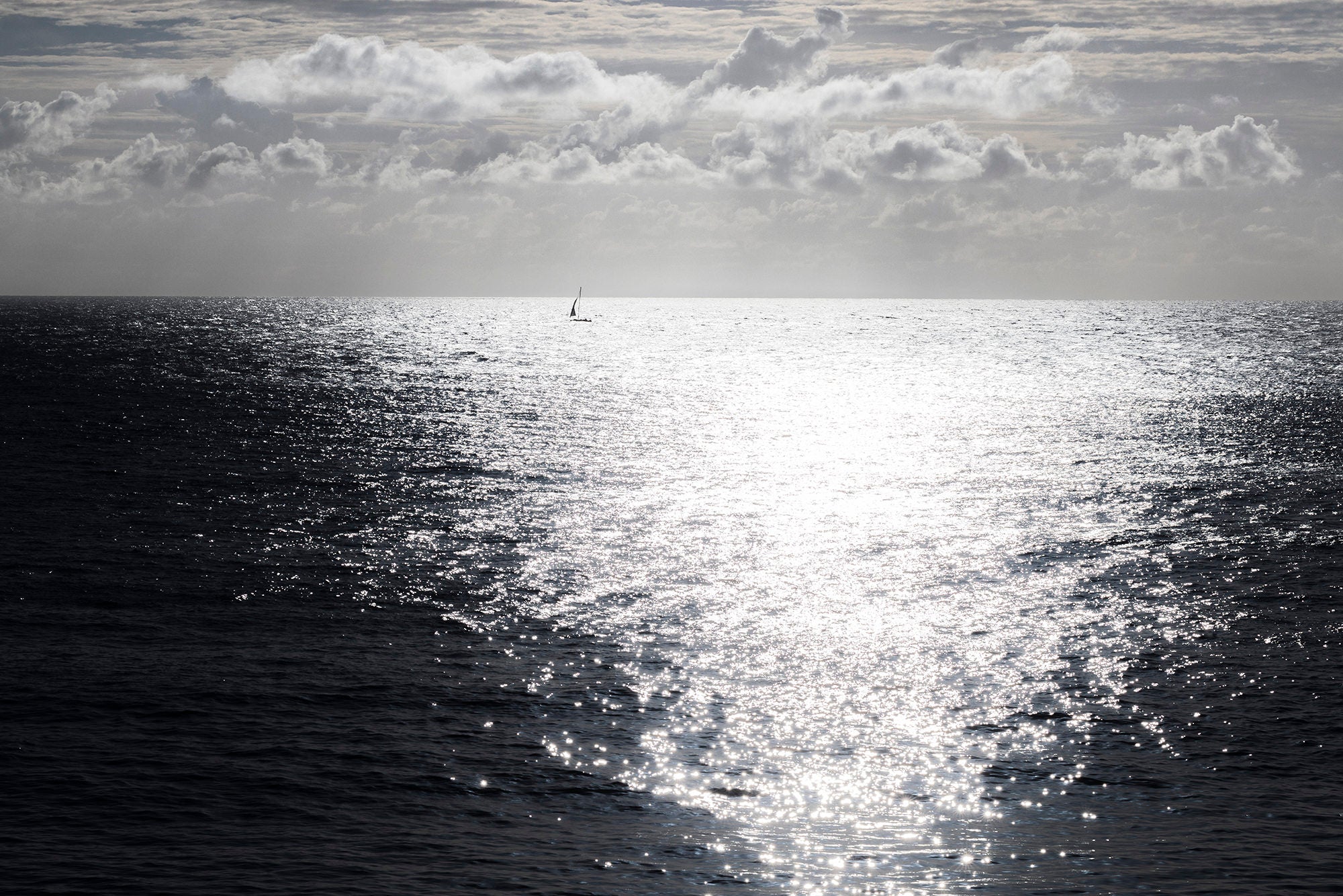 Morning Cruise - Fine art photograph at Manly Beach by Jan Salava | Salava Fine Art. 