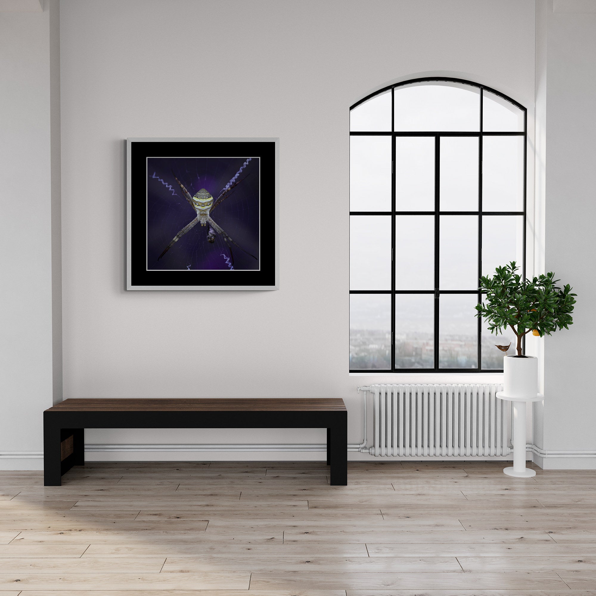 St Andrew's Cross Spider