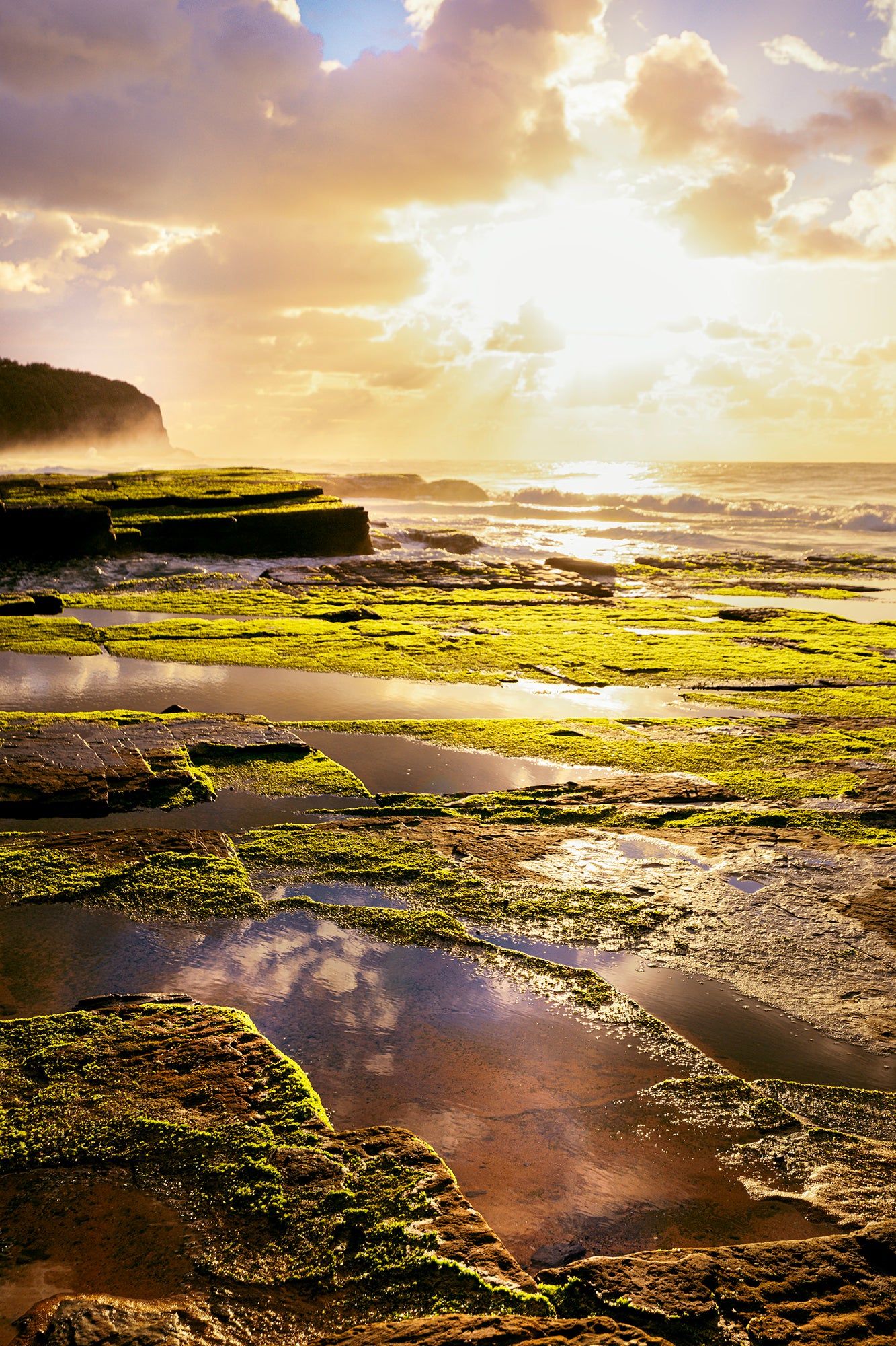 Turimetta Beach - Fine art photograph of Turimetta Beach by Rochelle Salava | Salava Fine Art. 